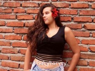 Gabyharvey