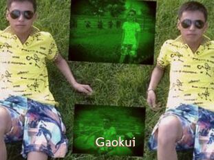Gaokui