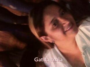 Gatita_mala
