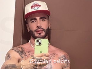 Gawainn_zeldris