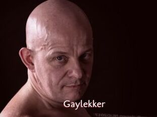 Gaylekker