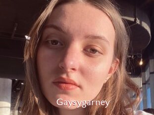 Gaysygarney