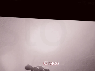 graco Sweet links only