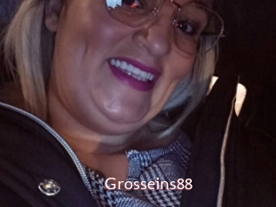 Grosseins88