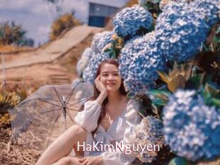 HaKimNguyen