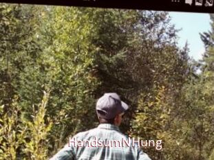 HandsumNHung