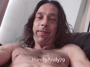 HandyAndy79