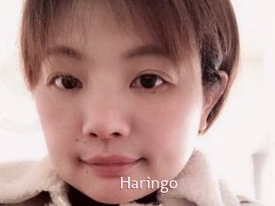 Haringo