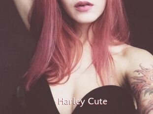 Harley_Cute