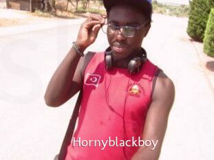 Hornyblackboy