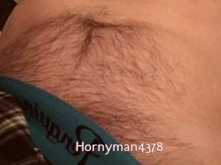 Hornyman4378