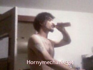 Hornymechanic334