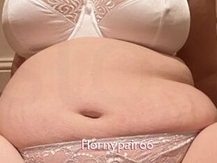 Hornypair66