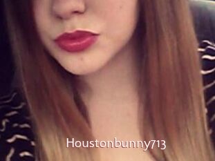 Houstonbunny713