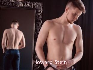 Howard_Stein
