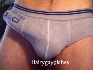 Hairygay9iches