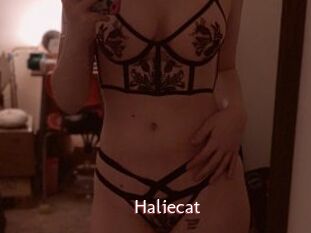 Haliecat