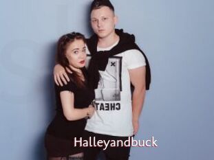 Halleyandbuck
