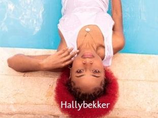 Hallybekker