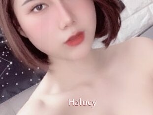 Halucy