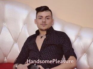 HandsomePleasure