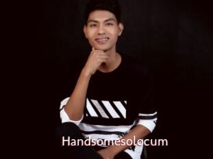 Handsomesolocum