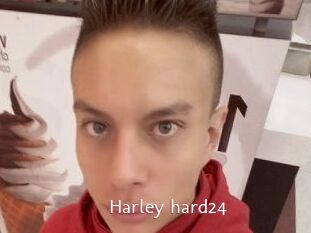 Harley_hard24
