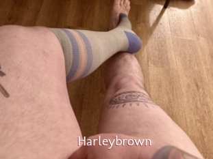 Harleybrown