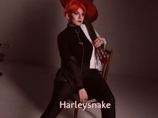 Harleysnake