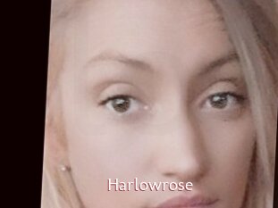 Harlowrose
