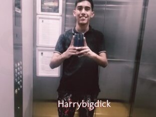 Harrybigdick