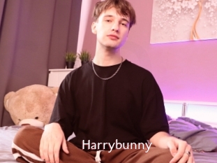 Harrybunny