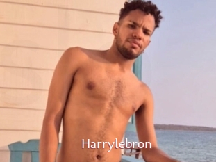 Harrylebron