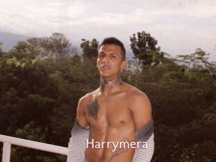 Harrymera