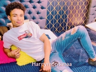 Harrymontanaa