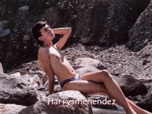 Harrysmenendez
