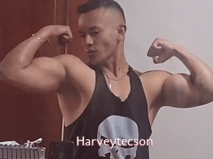 Harveytecson