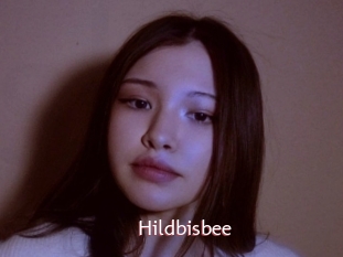 Hildbisbee