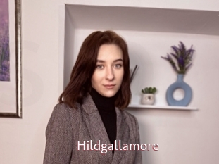 Hildgallamore