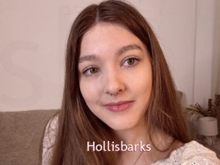 Hollisbarks