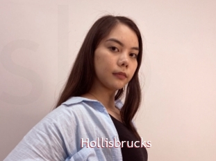 Hollisbrucks