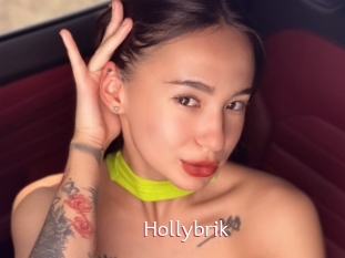 Hollybrik