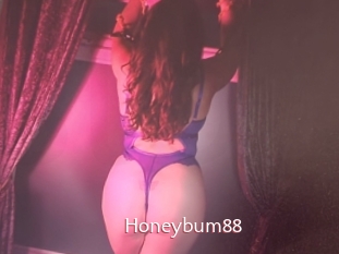 Honeybum88