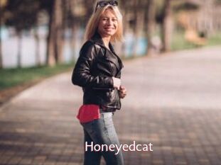 Honeyedcat