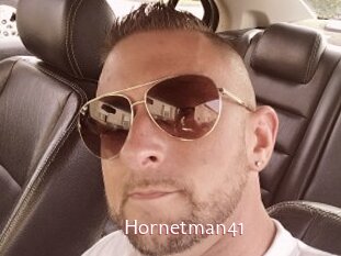 Hornetman41