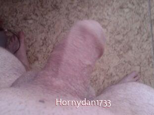 Hornydan1733