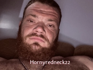 Hornyredneck22