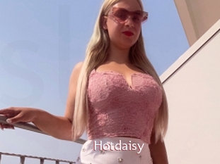 Hotdaisy