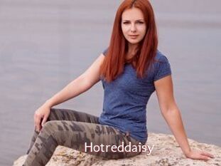 Hotreddaisy