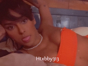 Htxbby313